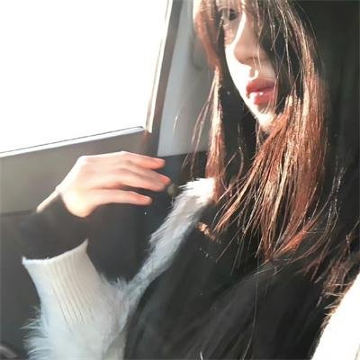 狐狸女士第二季